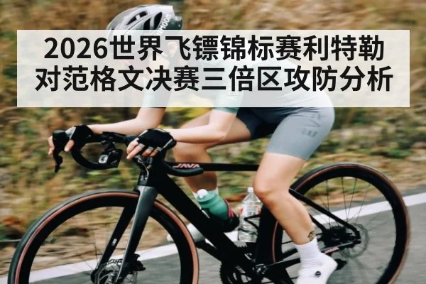 2026世界飞镖锦标赛利特勒对范格文决赛三倍区攻防分析